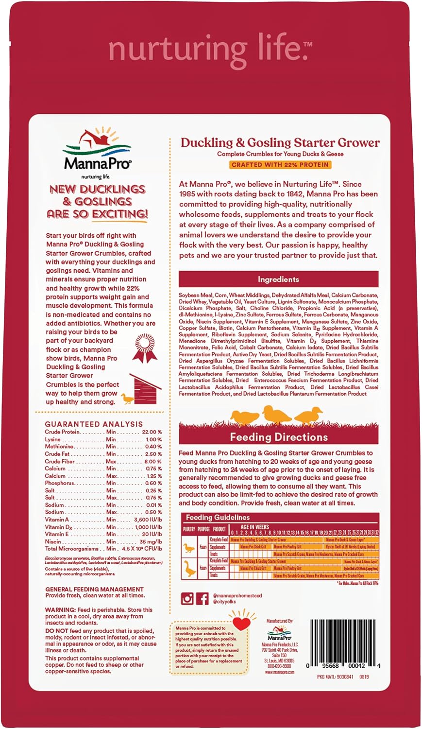 Duckling to Layer: The Complete Feed Transition Guide for Domestic Ducks