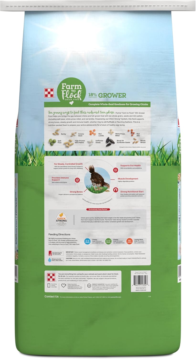 From Chick to Layer: Matching Grower Feed Protein to Your Pullets' Actual Life Stage