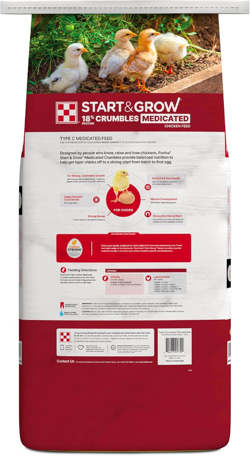 Chick Starter Feeds Compared: Medicated vs. Non-Medicated, and When Each Makes Sense