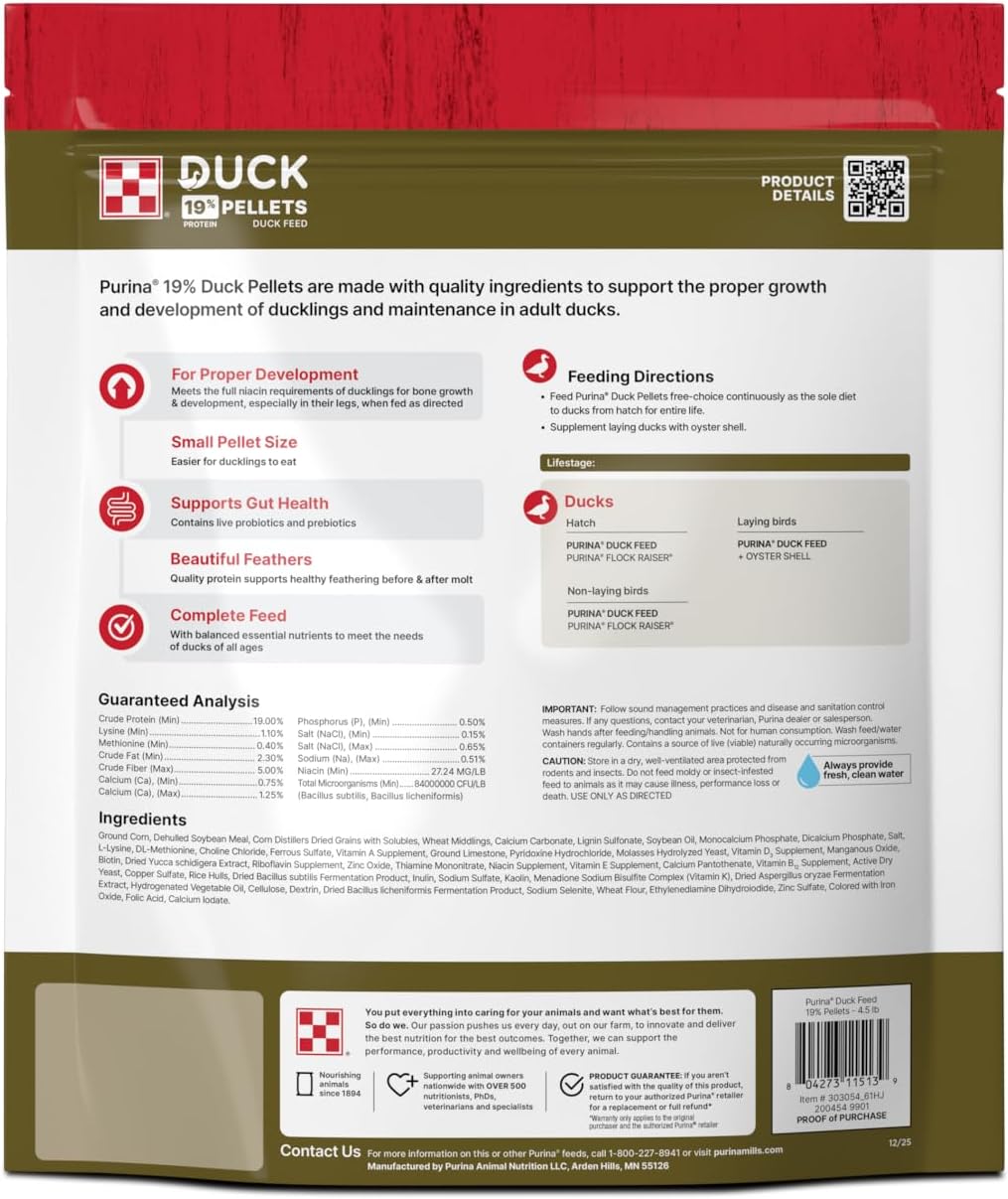 Duck Feed Done Right: Niacin, Protein Percentages, and Why Chicken Layer Feed Is the Wrong Choice